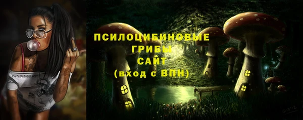 первитин Гусиноозёрск