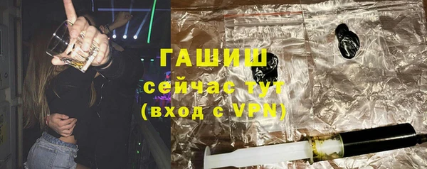 гашик Гусев