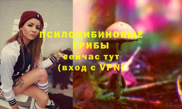 гашик Гусев