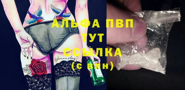 гашик Гусев