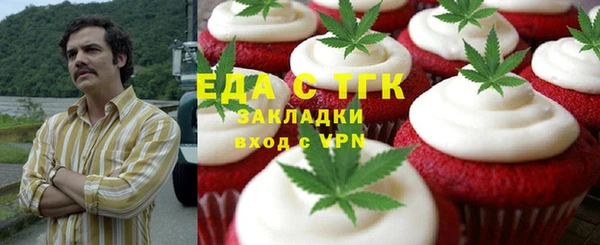 гашик Гусев